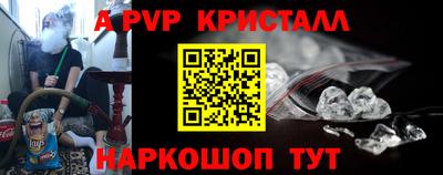 ECSTASY Ярославль