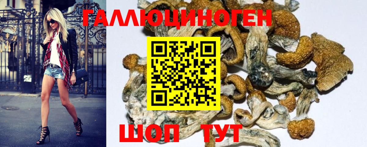 Псилоцибиновые грибы Psilocybe  Вход с VPN  Псилоцибиновые грибы прущие грибы  Амурск 
