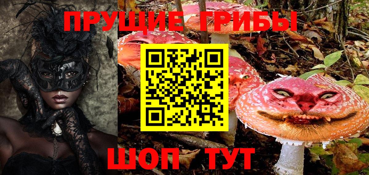 Галлюциногенные грибы Psilocybe Амурск